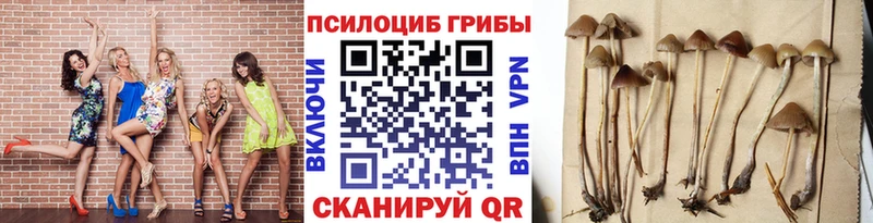 Галлюциногенные грибы мухоморы  мега ссылка  Реж 